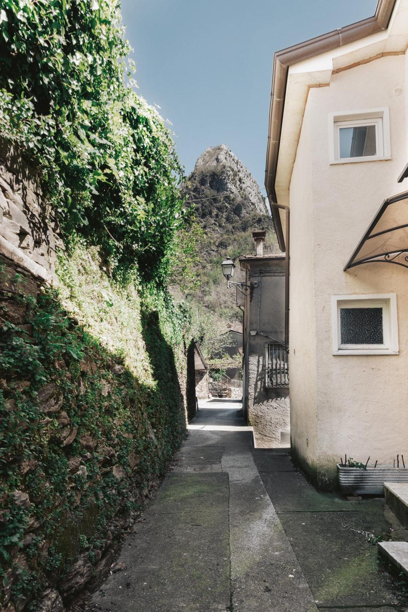 Stella Alpina Nordic Style And Relax Apartment Levigliani Exterior photo